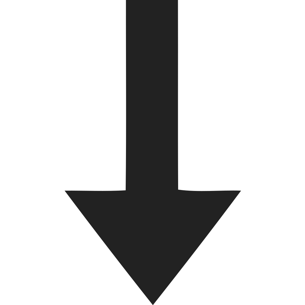 Directional Arrow Down Straight Icon