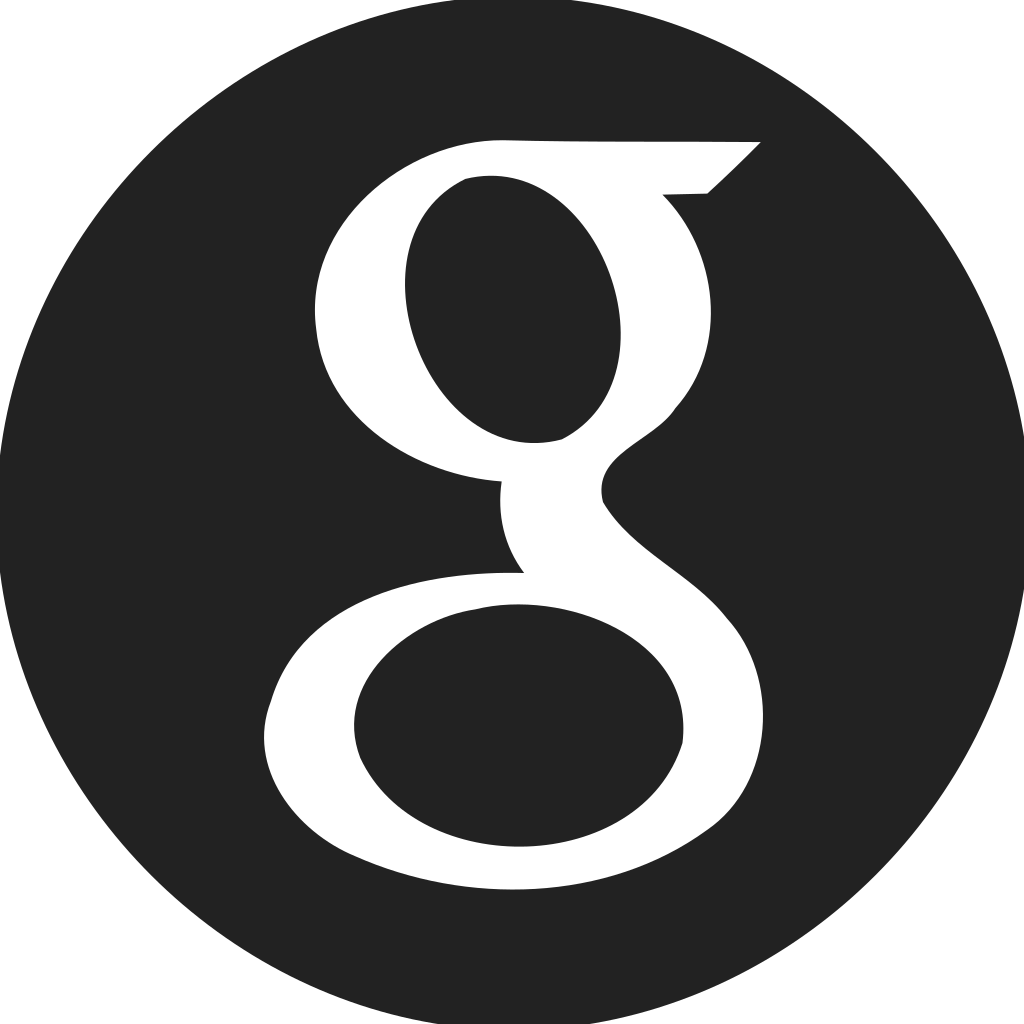 Google Circle Filled Icon