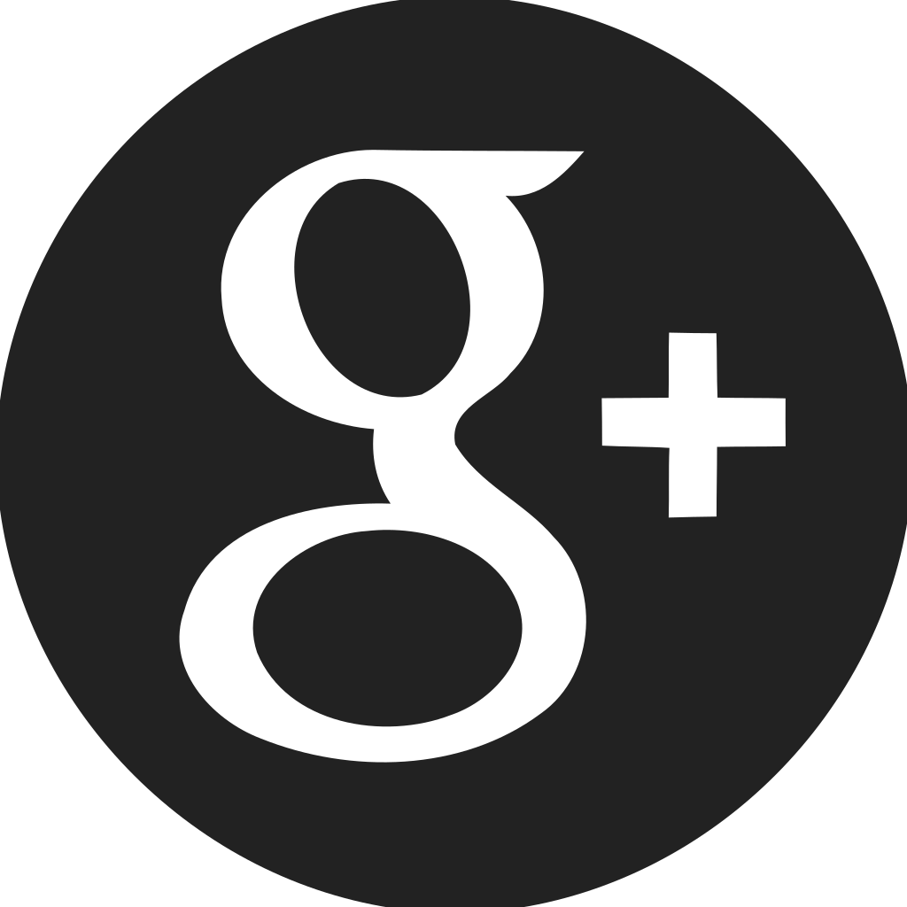 Google Plus Circle Filled Icon