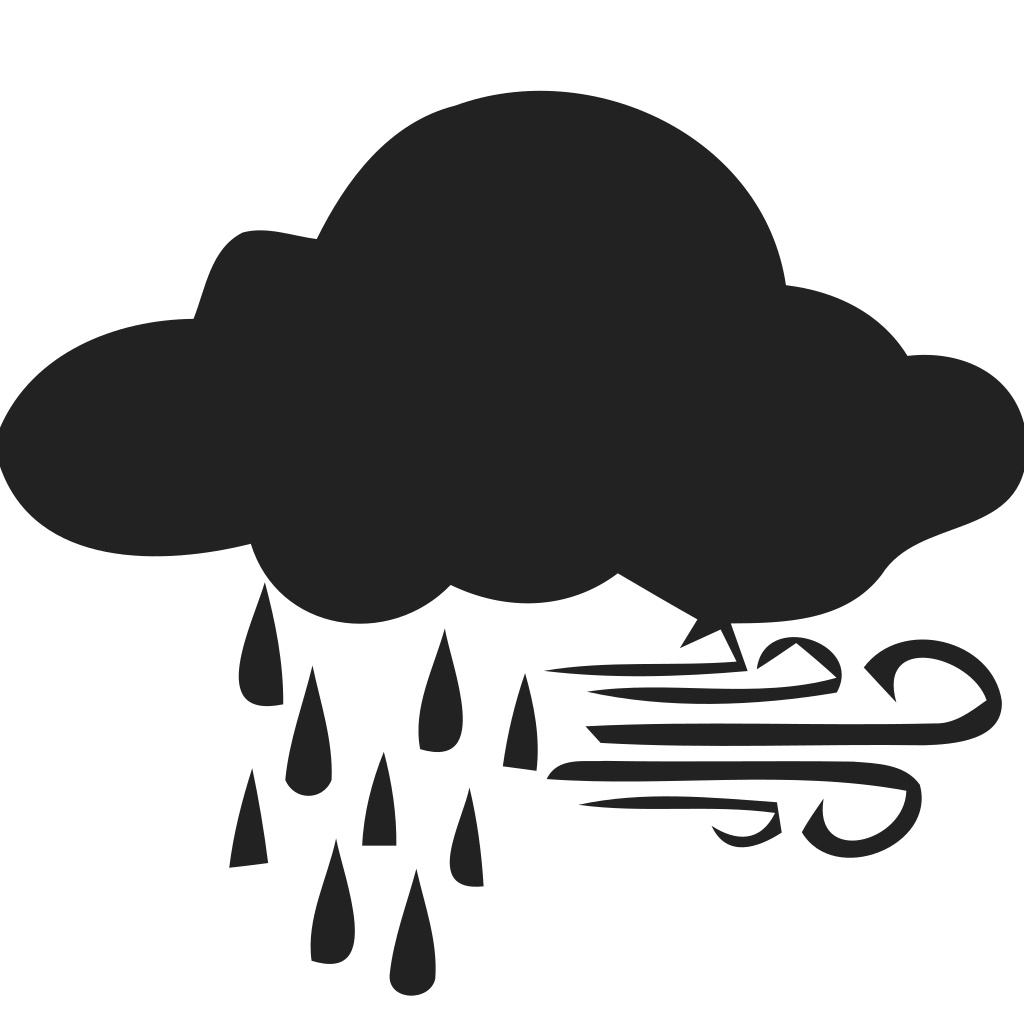 Rain and wind Icon