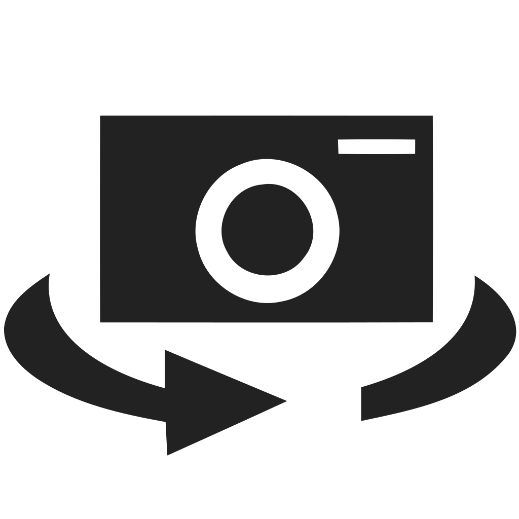 Switch camera Icon