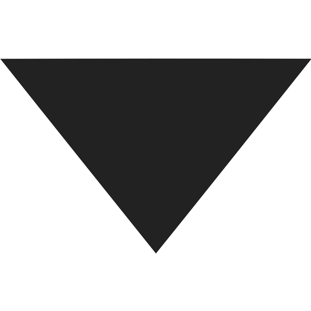 Triangle down Icon