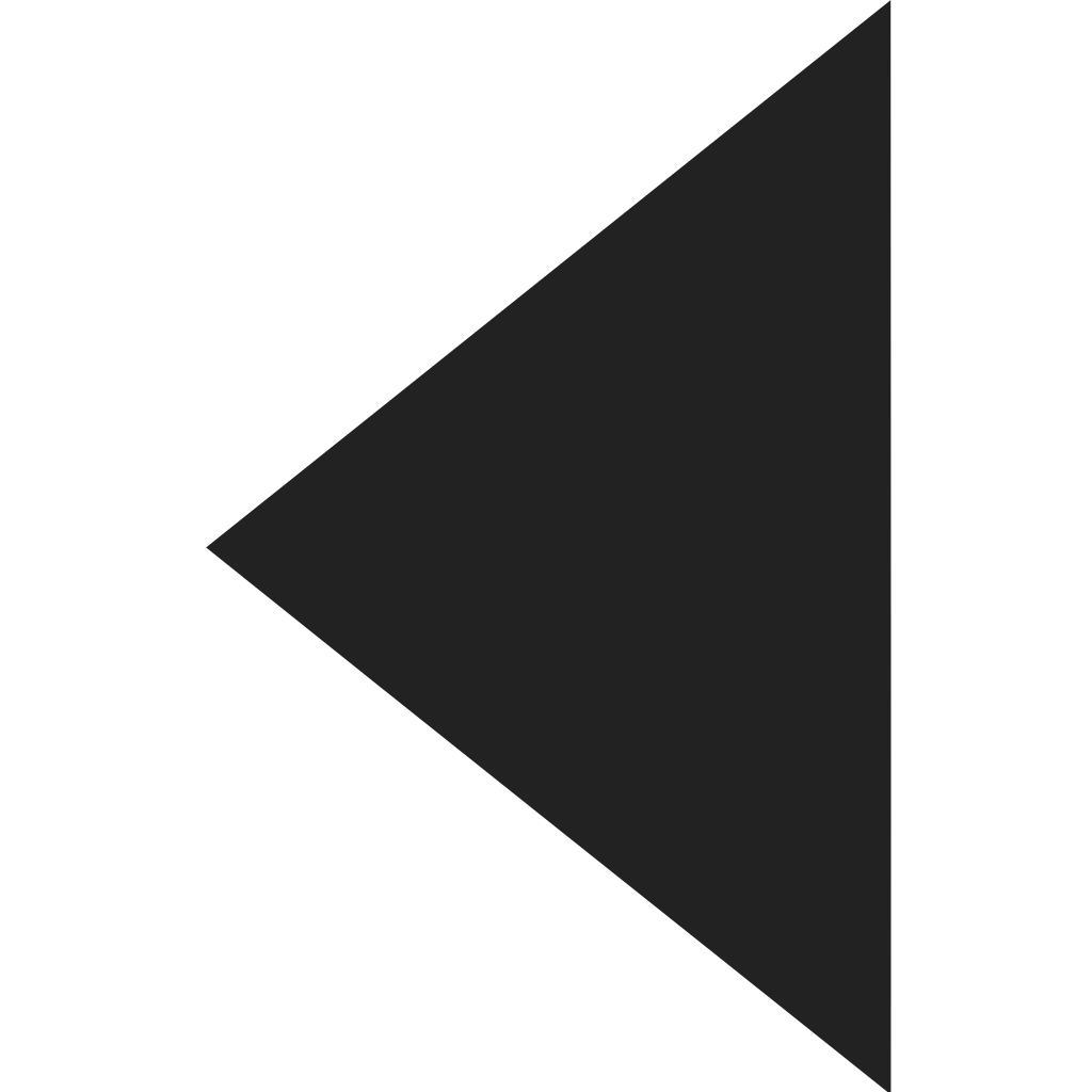 Triangle left Icon
