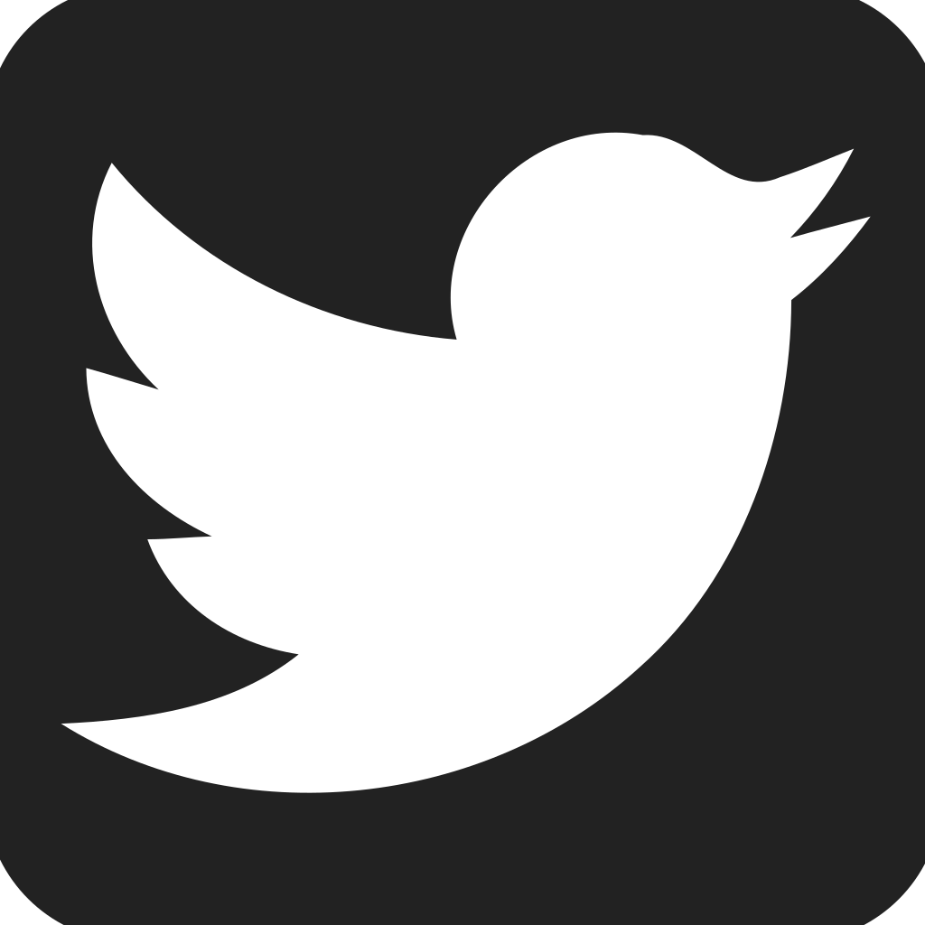 Twitter Square Filled Icon