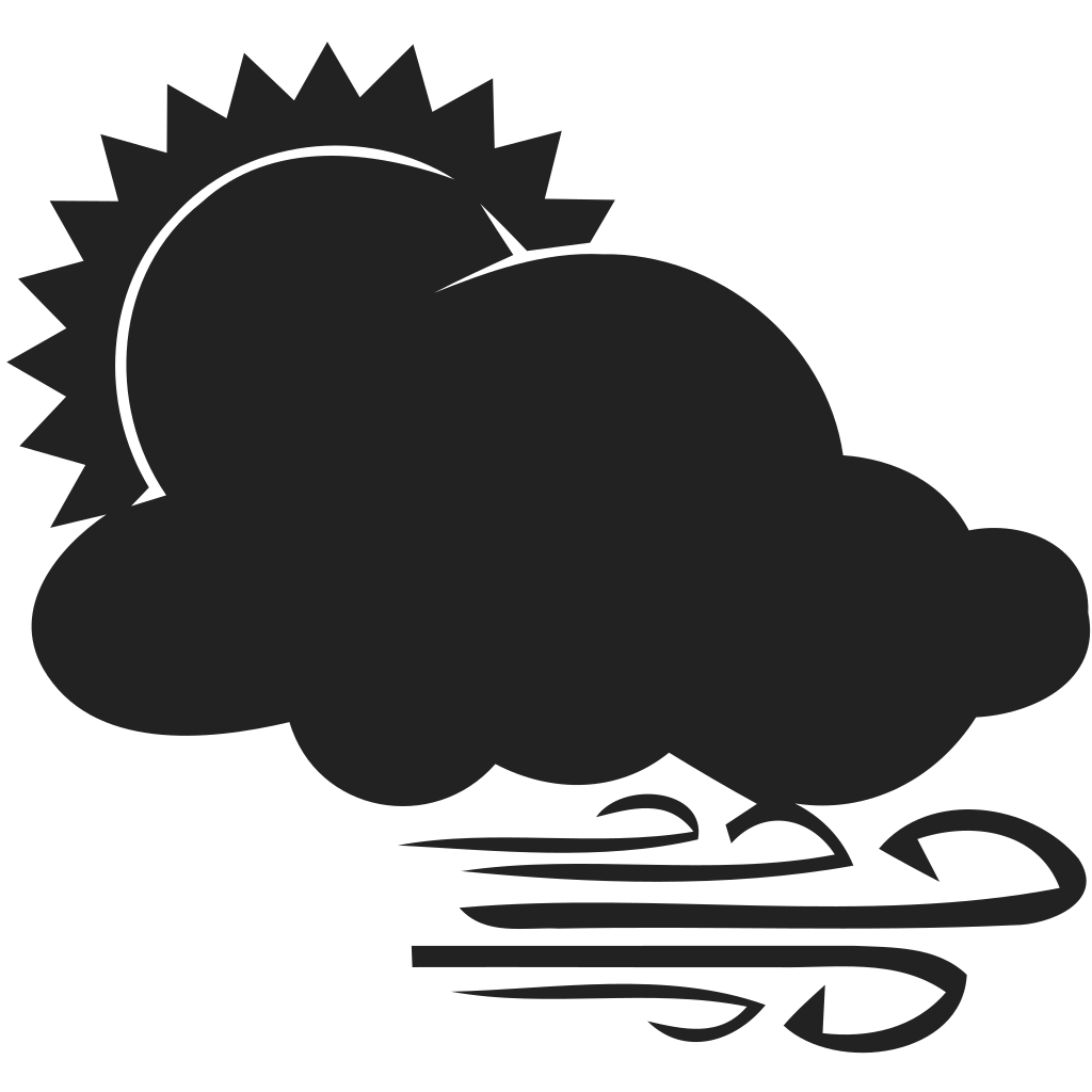 Partially cloudy and wind Icon