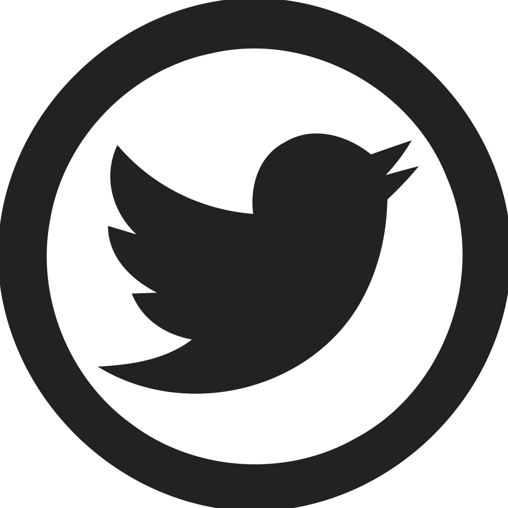 Twitter Circle Empty Icon