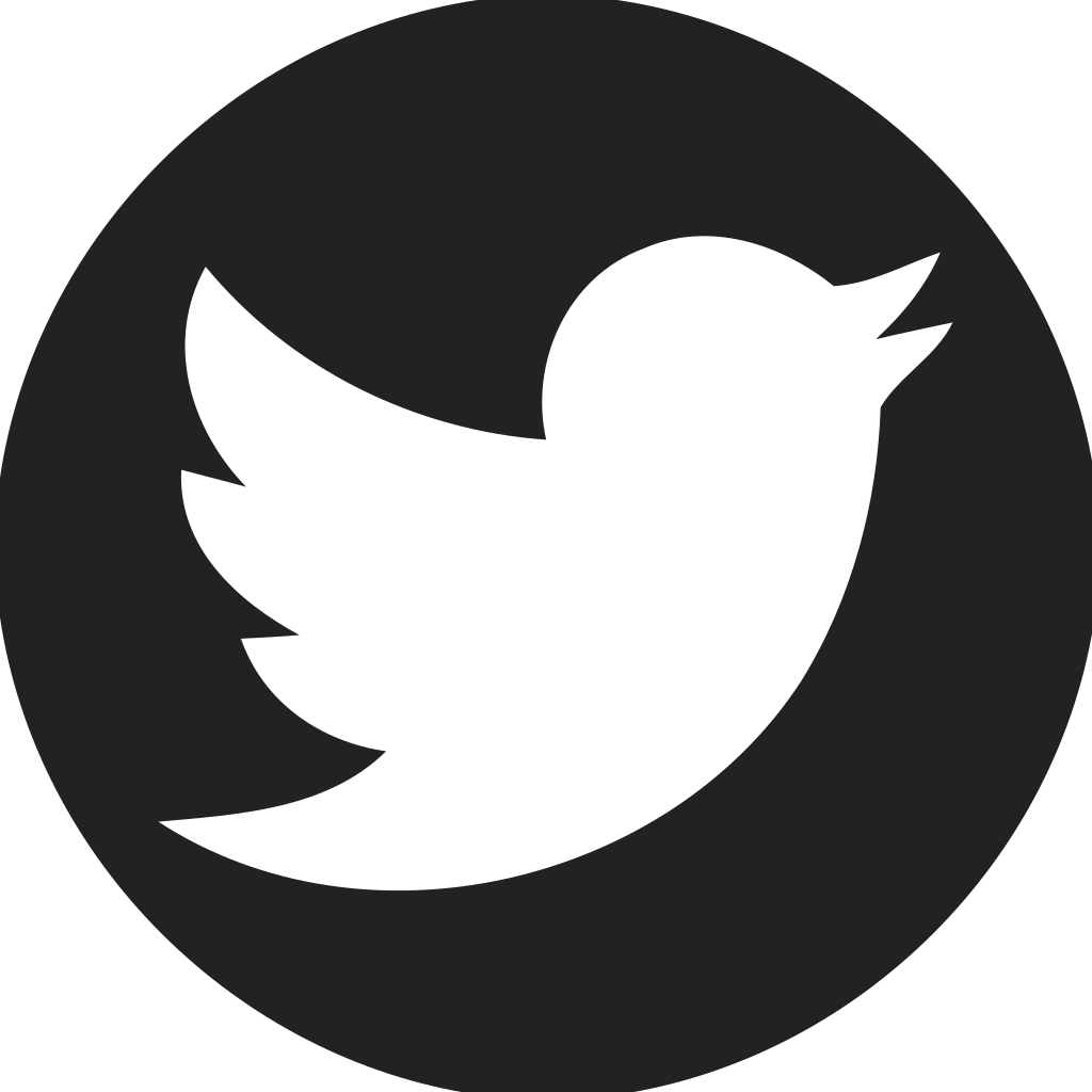 Twitter Circle Filled Icon